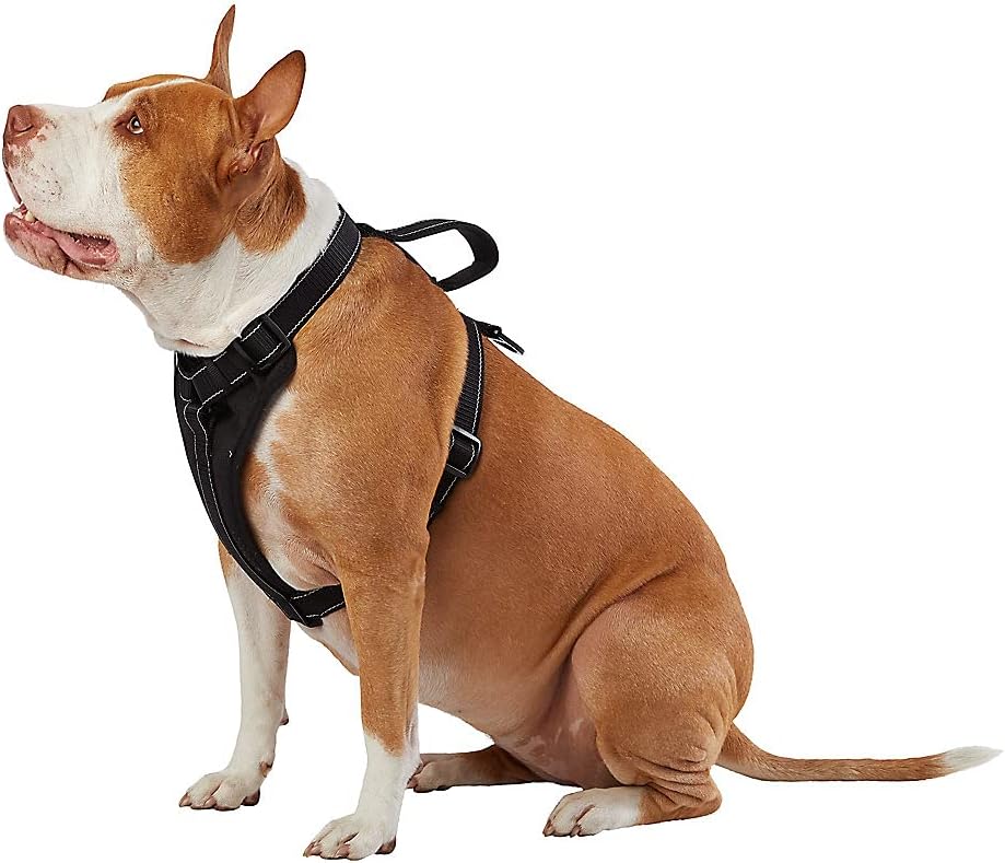Original selected-listing image of KONG Max Ultra Durable Neoprene Padded Chest Plate Dog Harness Offered by The Barker Company (Black, Medium).