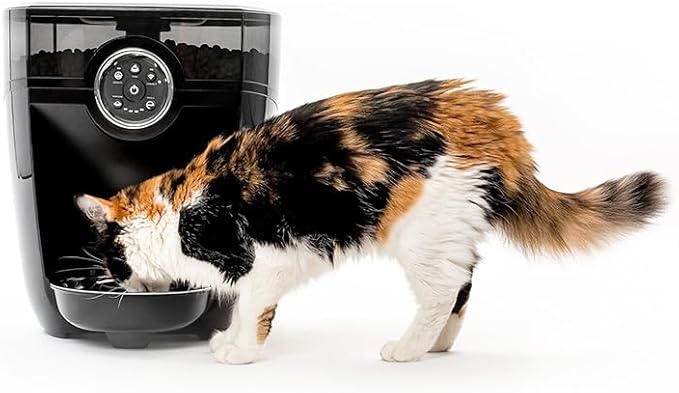 Original retailer photograph of a calico cat eating from the black Feeder-Robot with smoke-grey hopper.