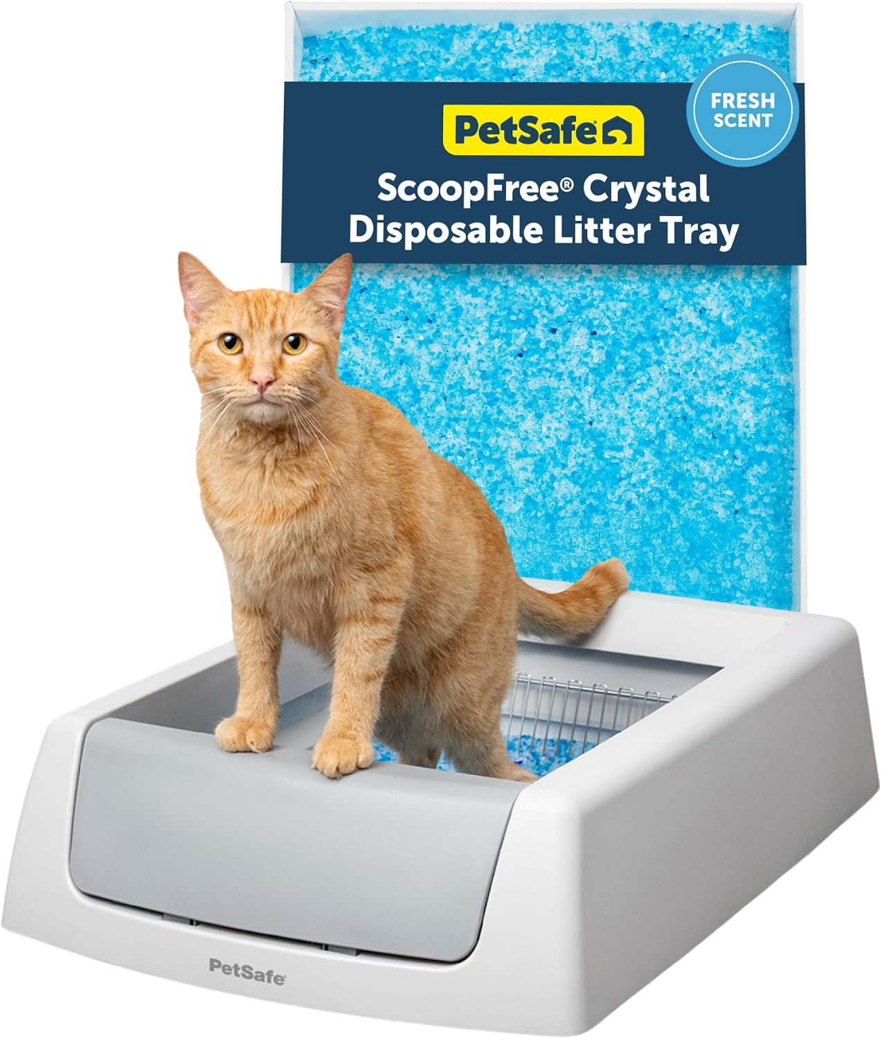 Original retailer composite of grey ScoopFree Crystal Classic, a cat and a crystal-litter tray package.
