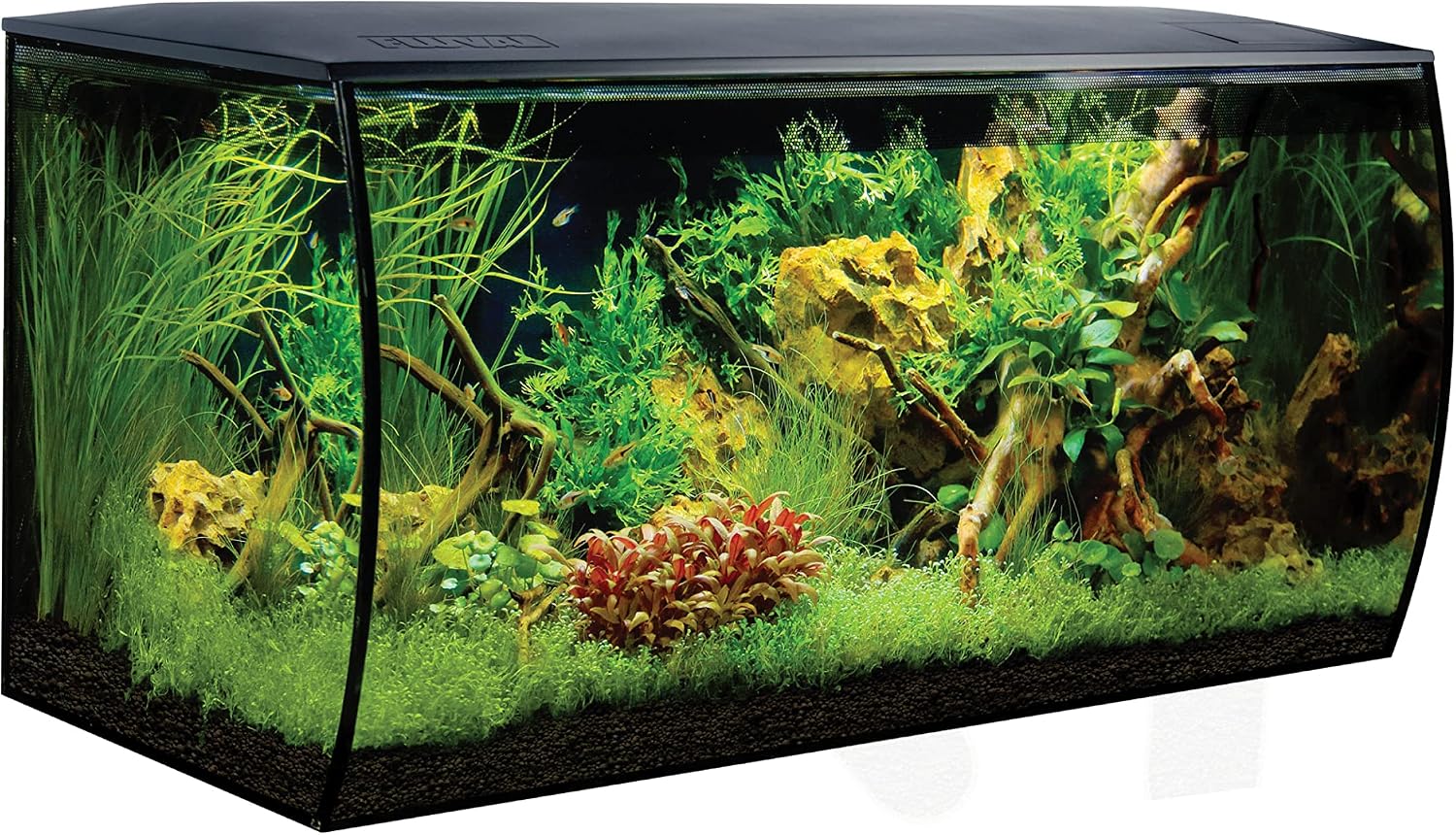 Original retailer photograph of the black Fluval Flex 32.5 freshwater aquarium with a staged aquascape.