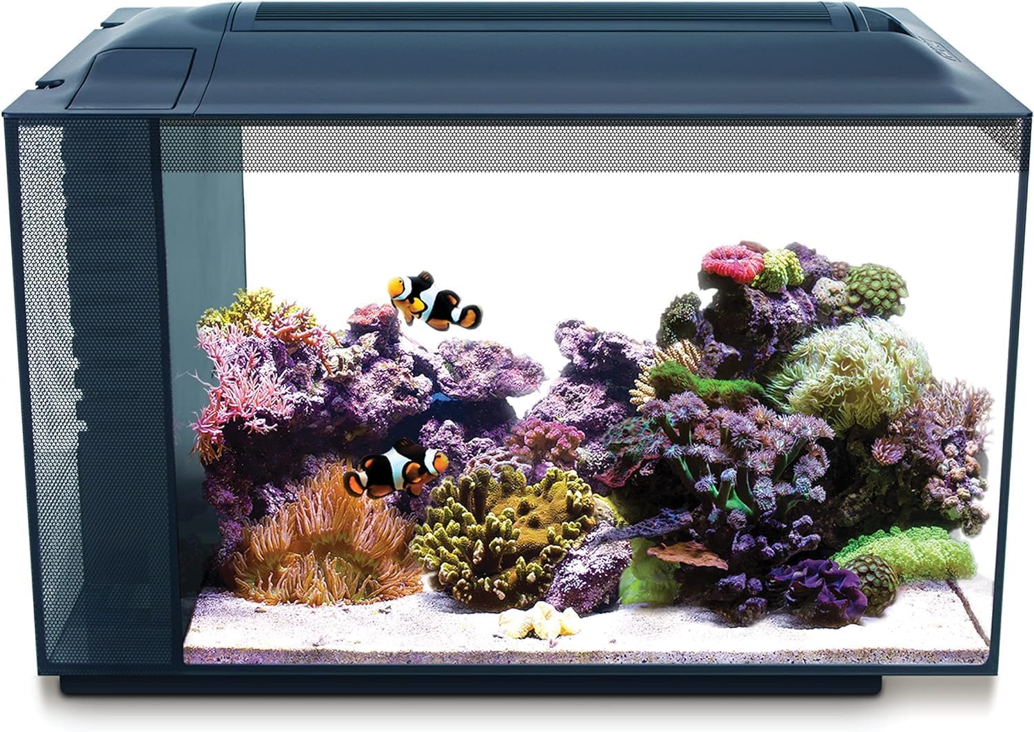 Original retailer photograph of the black Fluval Evo 13.5 marine aquarium shown with a staged reef display.