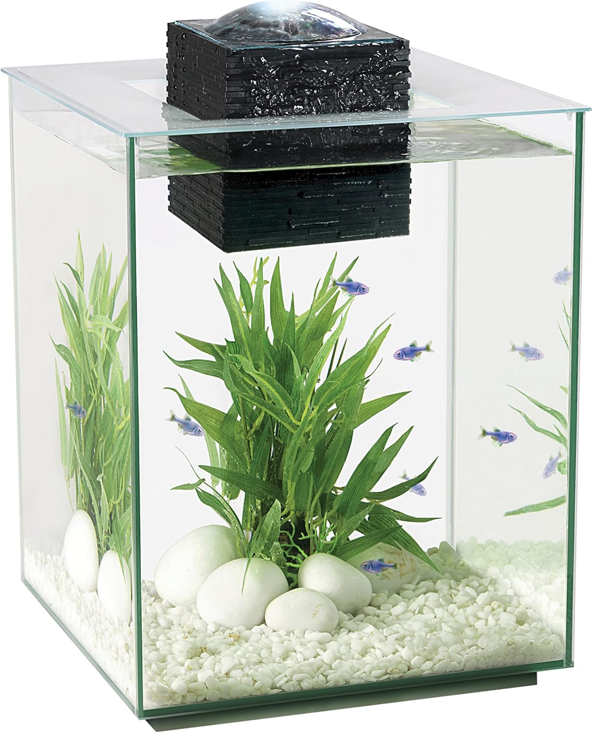 Fluval Chi II 5 US Gallon Kit, 10505 original retailer product image